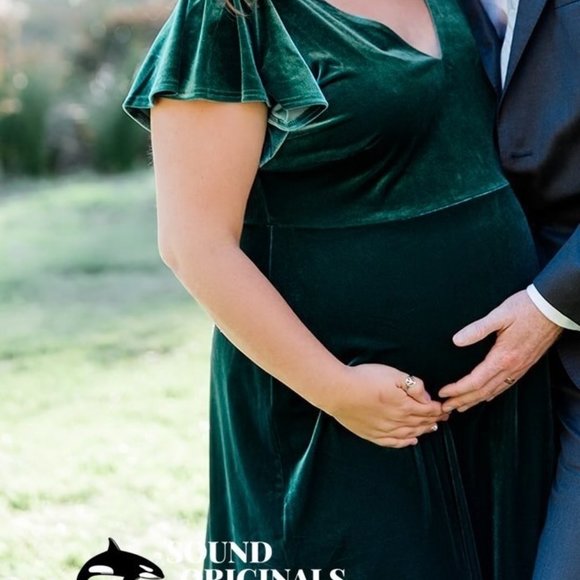 Birdy Grey Emerald Velvet Dress 1X (or maternity) - Picture 4 of 4